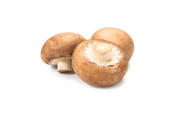 Tasty mushroom isolated on white background.