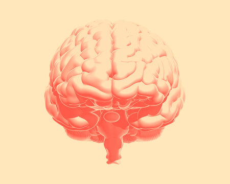 Orange human brain illustration isolated on vanilla BG