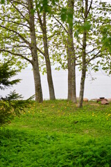 Obraz premium warm green spring day in Peterhof