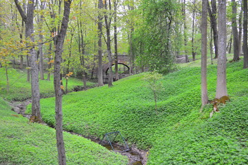 warm green spring day in Peterhof