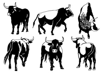 Vector set of oxen isolated on white background,ink pen illustration