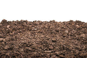 Black land for plant.