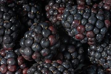 Close up of blackberries as background