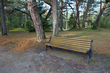 Empty bench in city park