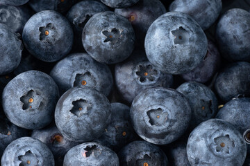 Close up of blueberries as background