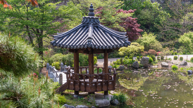 Garden of morning calm, Korea