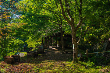 牛伏寺キャンプ場