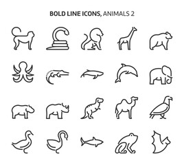 Animals, bold line icons