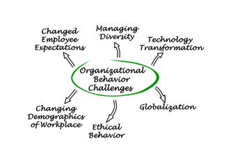 Six Challenges for Organizational Behavior