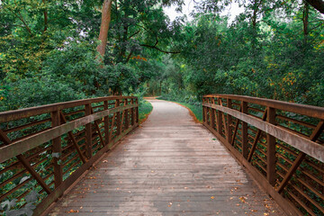Walking on a beautiful, forest path