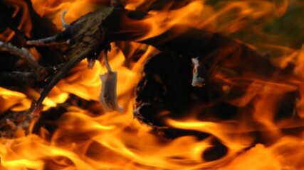 Fototapeta premium fire flame fire tongues of flame ash branches burning coal peat the fire heat smoke