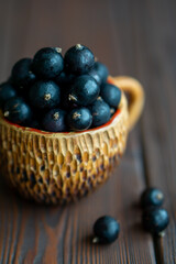 black currant in a bowl