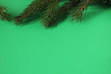 new year's Christmas background tree branch pine trees on a green background on top with space for the text copy space