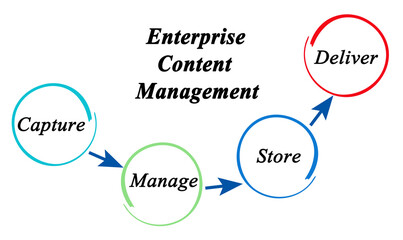 Process of Enterprise Content Management