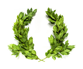 Laurel wreath made of dried branches and leaves isolated on a white background
