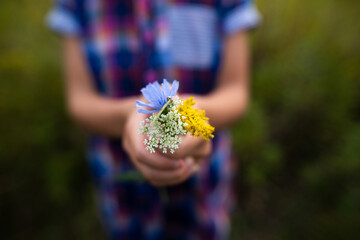 Close up of child holding wildflower bouquet