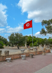 The flag of Tunisia against the blue sky on the ruins of Carthage