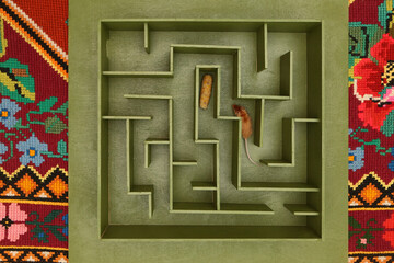 Cute mouse looks for food in maze. Lucky mouse got lost, wanders in labyrinth. Success in solving...