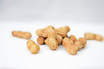 Groundnut Standing