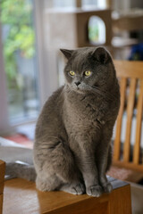 In the forest at Schaalsee, Germany