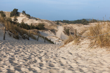 Path through dunes. Slowinski National Park, Poland