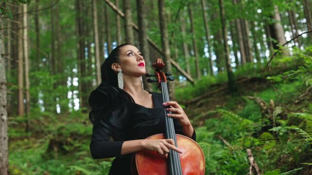 Beautiful cellist in the forest. Luxury woman in black dress playing the cello on green nature background. Attractive female musician performing music outdoors.