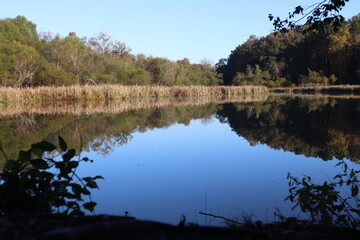 Morning sunrise on the lake
