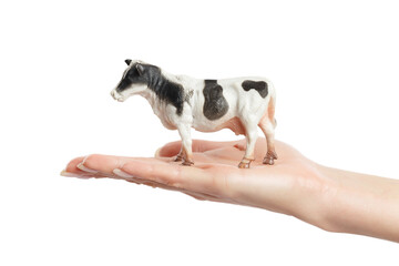 Closeup image of female hand holding plastic toy cow isolated at white background.