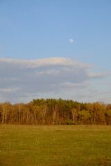Cloudy evening sky over a beautiful autumn forest. Landscape.