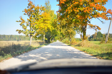 An empty rural road (alley) through the colorful deciduous trees with green, golden, orange, red and yellow leaves. A view from the car. Eco tourism, cycling, vacations, recreation, walking