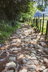 Ancient roman road in mountains, Spain. Old trade stone road with fence. Roman road on Camino de...