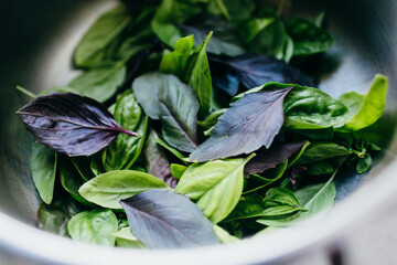 Process of making healthy smoothie, spinach in blender
