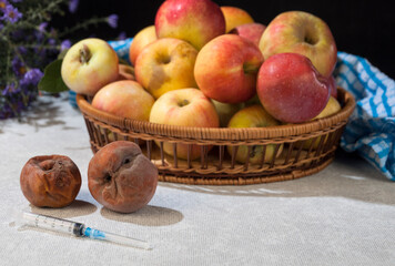 two rotten apples on the background of a fruit basket