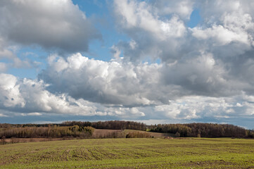 rural landscape in spring