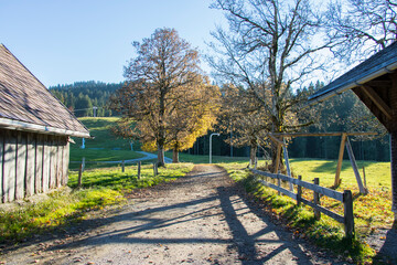 Herbst B&ouml;dele