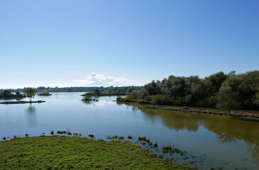 scenica e idilliaca vista dell'oasi faunistica del wwf di alviano in italia