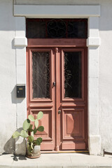 Old front door with cactus