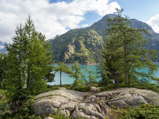 Gorgeous nature near Emosson lake in Switzerland Alps. Great for large prints!