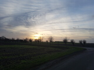 sunset over the field