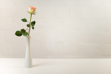 Rose mit Vase (HighKey) 