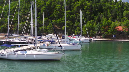 Fototapeta na wymiar water sports / sailboats in the marina / croatia