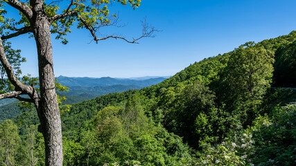 Springtime Appalachian Mountain View Along the Blue Ridge Parkway