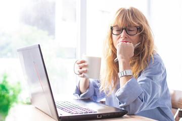 business woman with computer at home or office