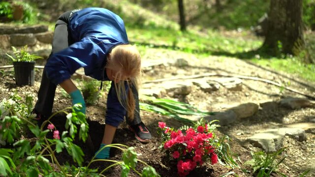 Bending over, a woman digs a hole for a plant in a home landscaped garden.