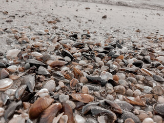 pebbles on the beach
