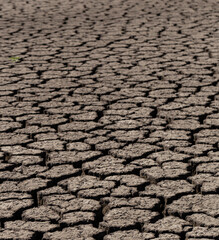 Earth cracked because of drought. The global shortage of water on the planet. Global warming concept. Dry cracks in the land.