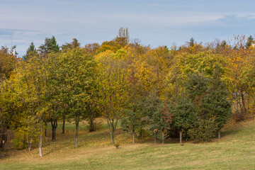 Autumn leaves and trees foliage in Kosutnjak park in Belgrade, the capital of Serbia