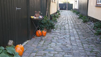 Halloween dacoration in a village