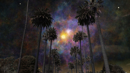 Colorful fantasy sky above the palm trees