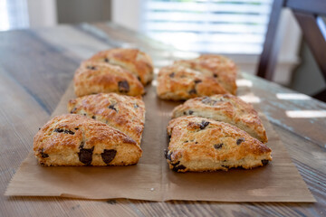 Chocolate Chip Scones Lined Up